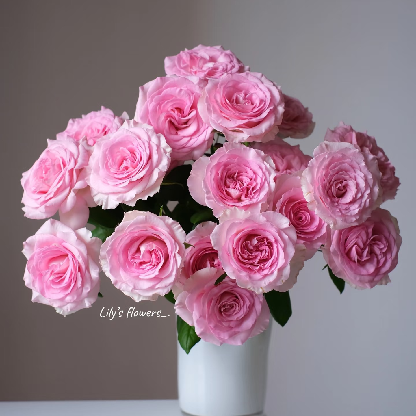 【品牌花】云天化家居办公生活精选洛神玫瑰10枝