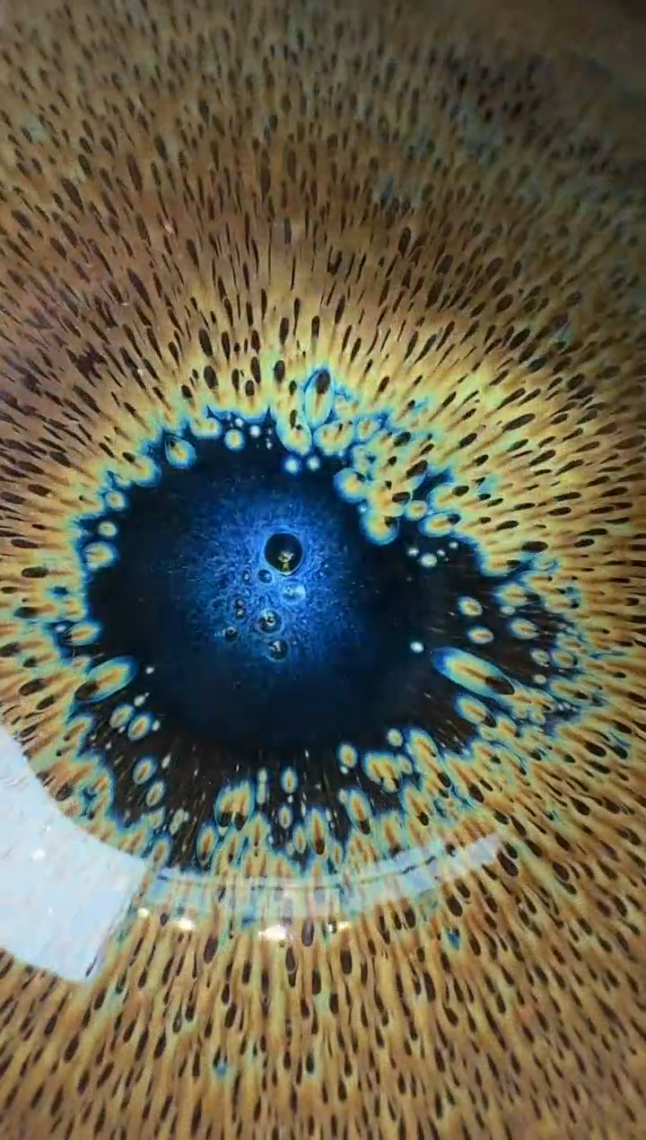 范泽锋 柴烧盏18