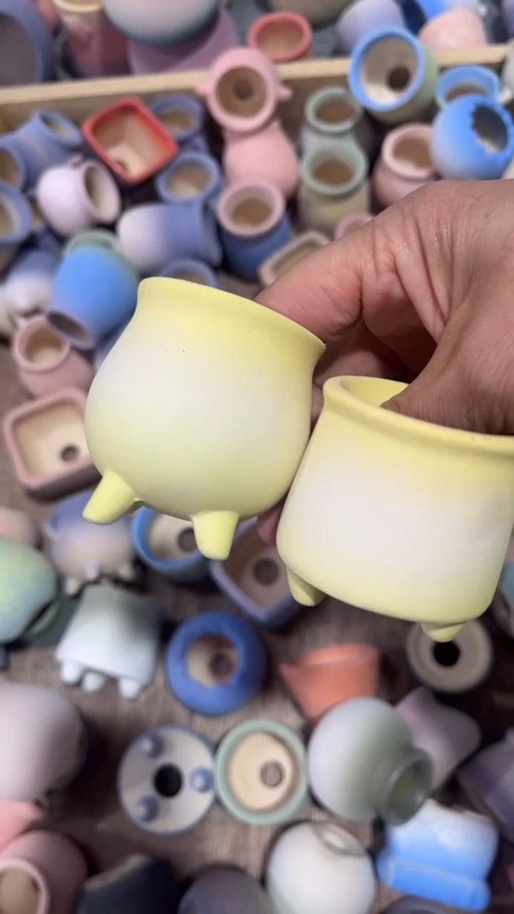 【闪购商品】红陶9.99