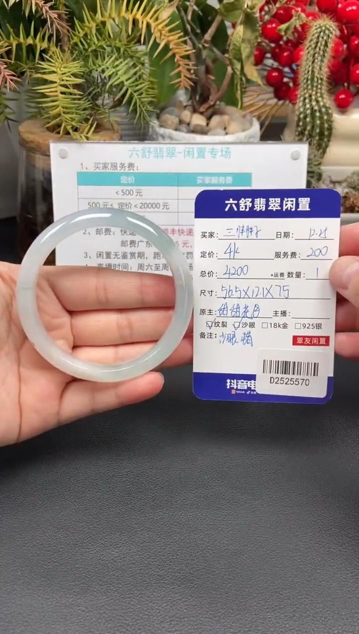 未镶嵌手镯翡翠三**子D2525570