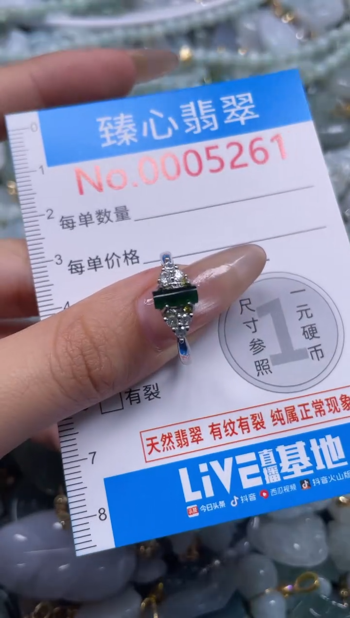 颈饰未镶嵌翡翠5261