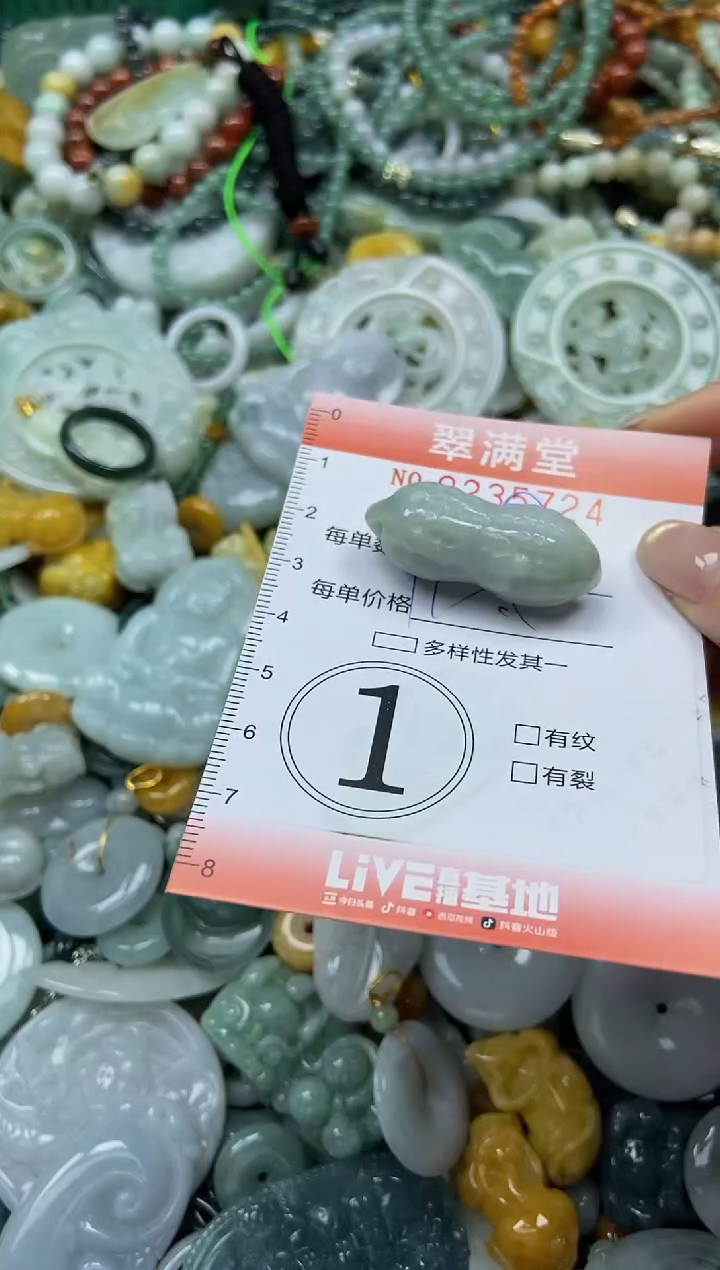 未镶嵌挂件翡翠闪购0235724