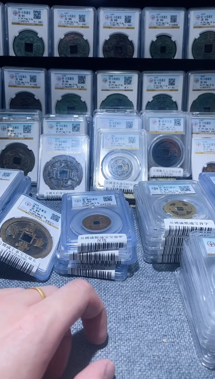 铜A232啊啊啊啊啊啊啊啊啊蚁85