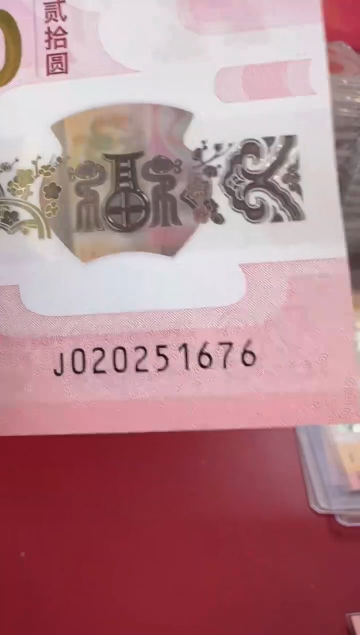 【闪购商品】塑料2025蛇钞单张裸啊啊啊啊啊啊