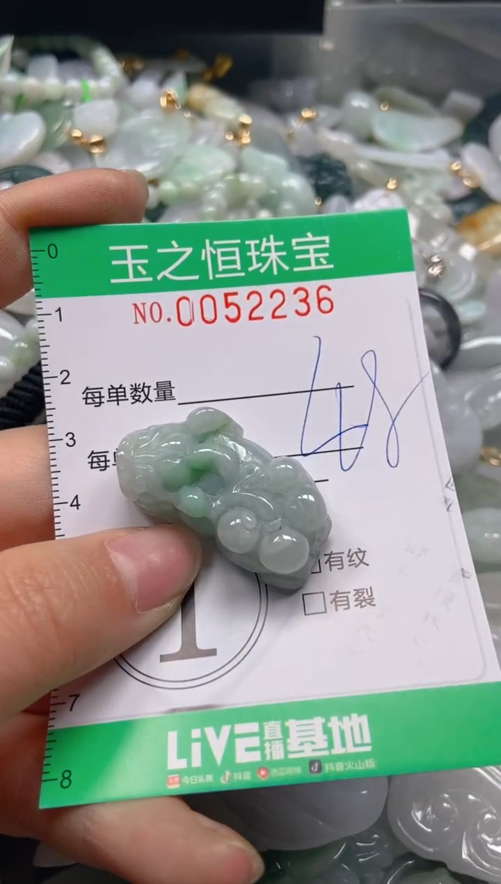 【闪购商品】翡翠颈饰未镶嵌闪购0052236