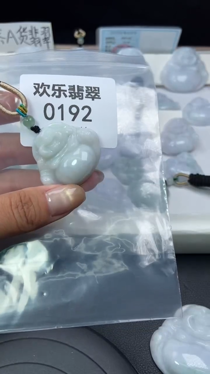 颈饰未镶嵌翡翠缅甸天然翡翠0192