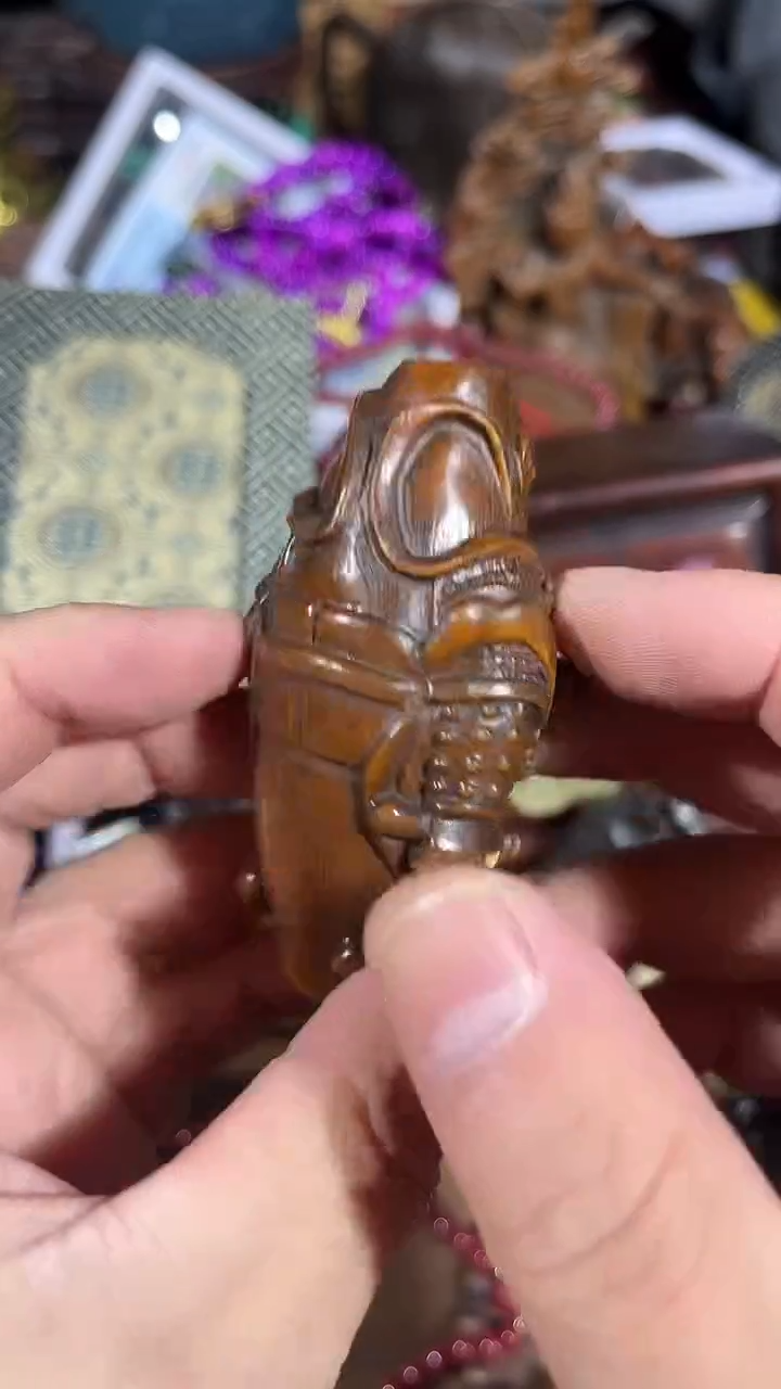 【闪购商品】黄杨木11111111111111111111