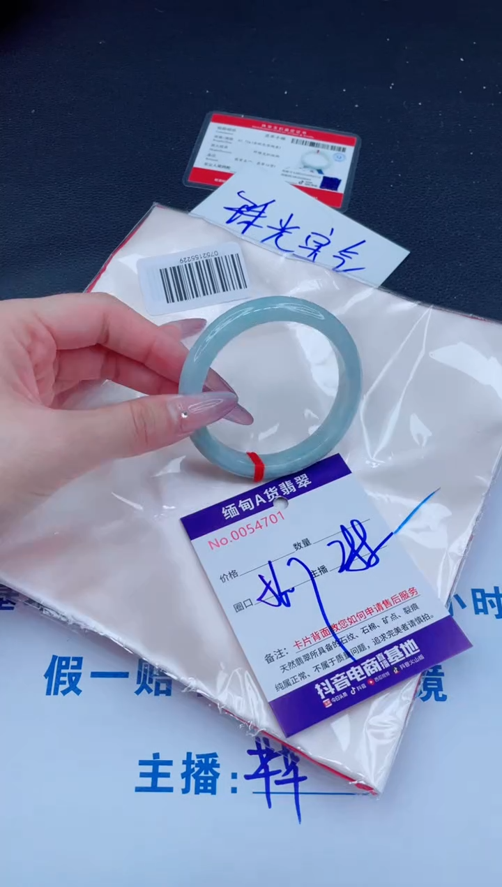 未镶嵌手镯翡翠288