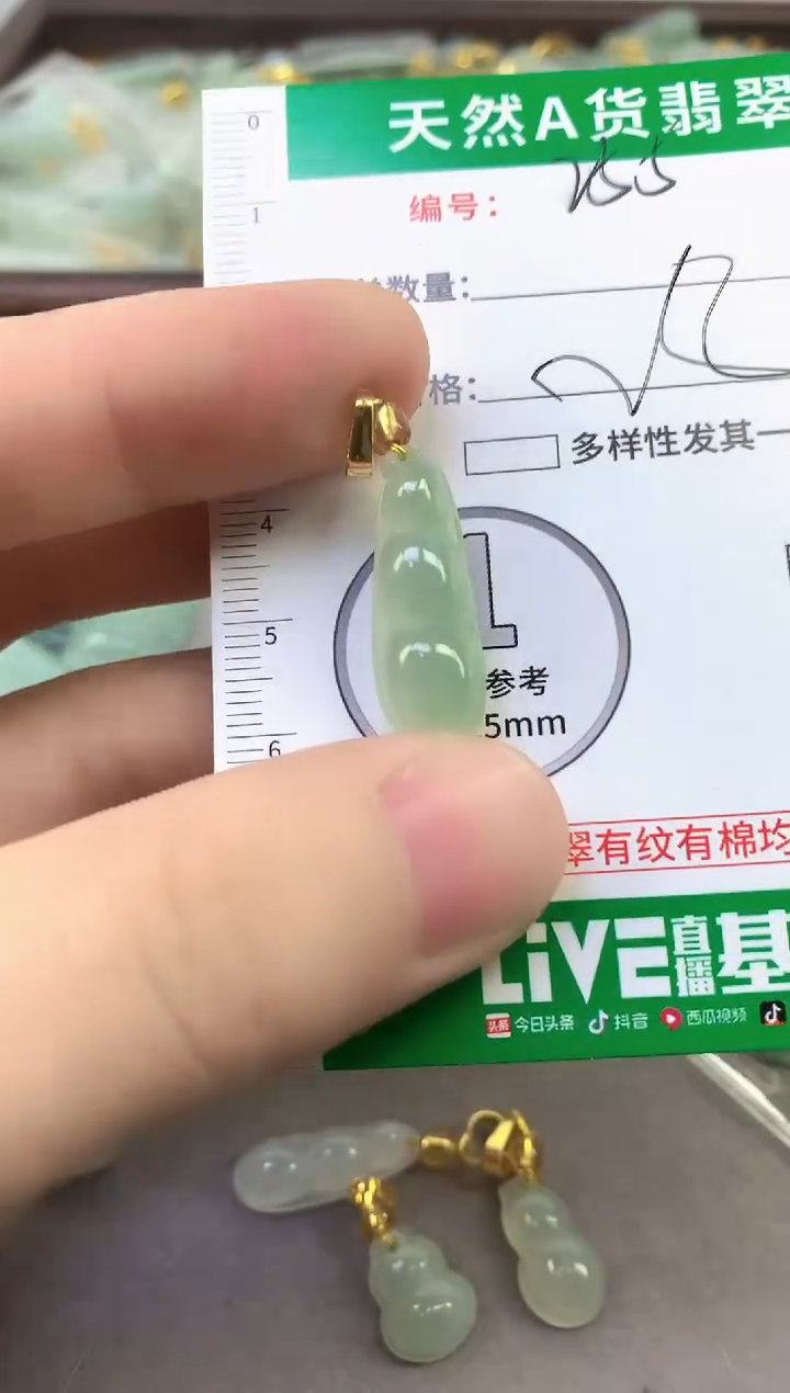 颈饰未镶嵌翡翠纯天然缅甸A货翡翠