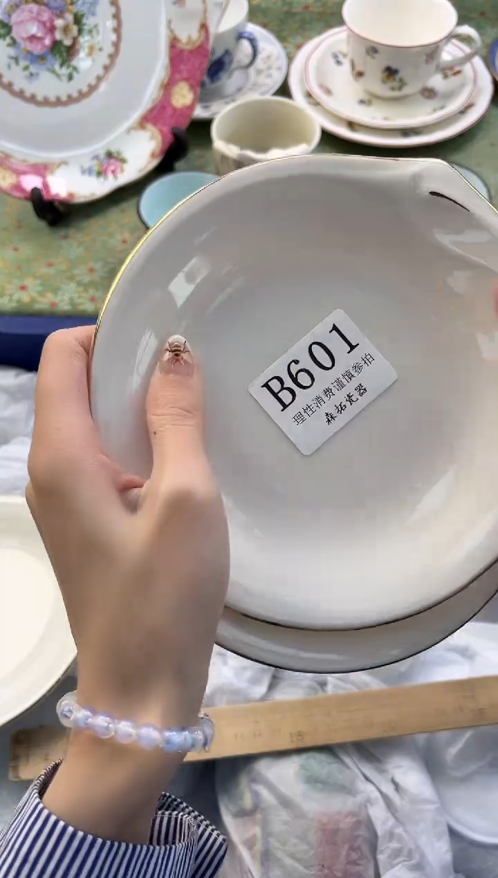 【闪购商品】瓷片          B601