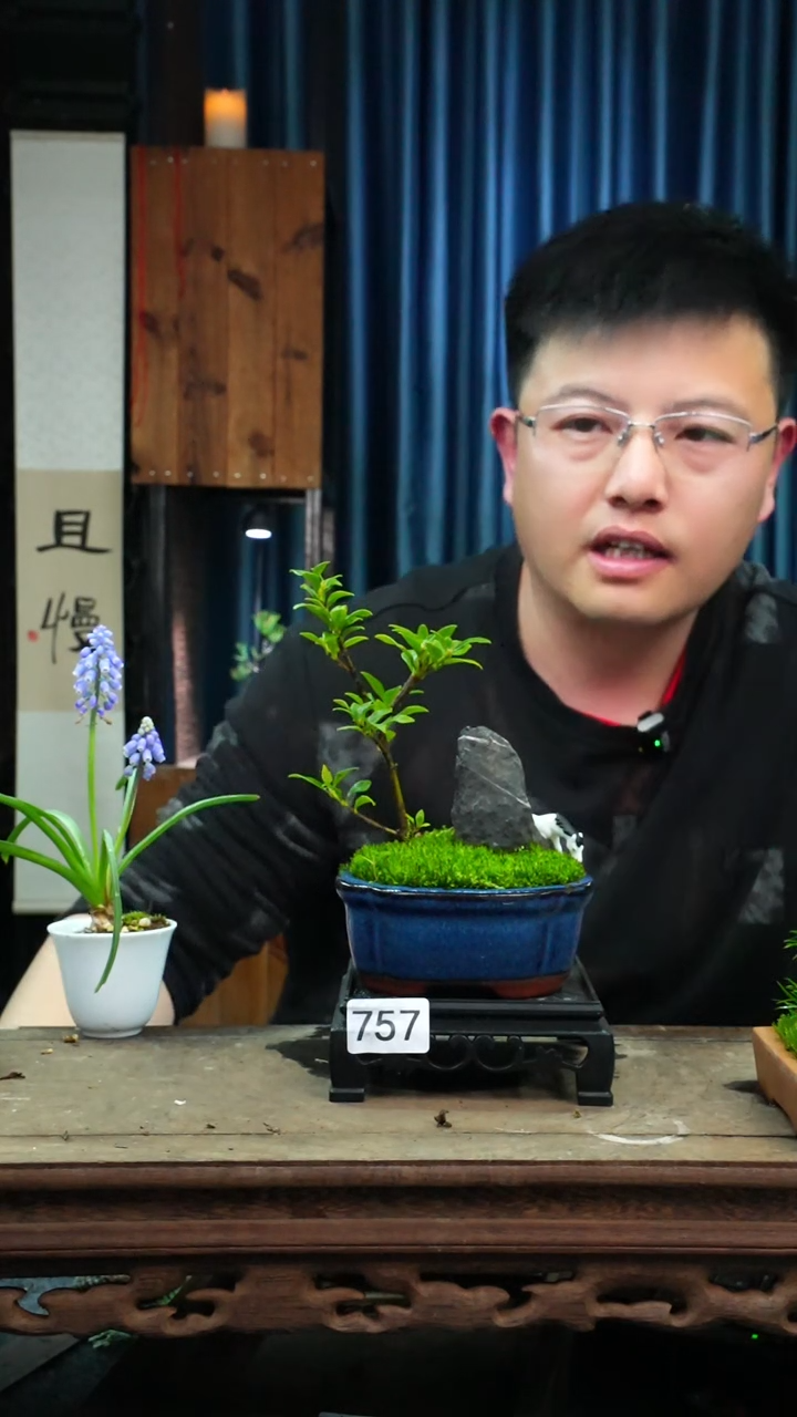 【闪购商品】苔藓微景观757号