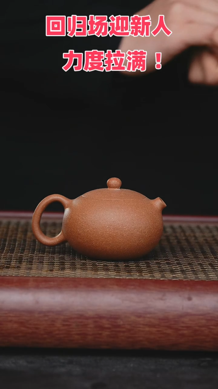 【闪购商品】紫砂茶壶紫砂茶壶