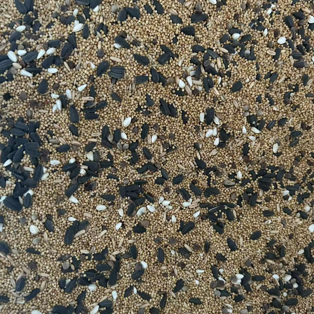 玄凤鹦鹉专用混合粮
