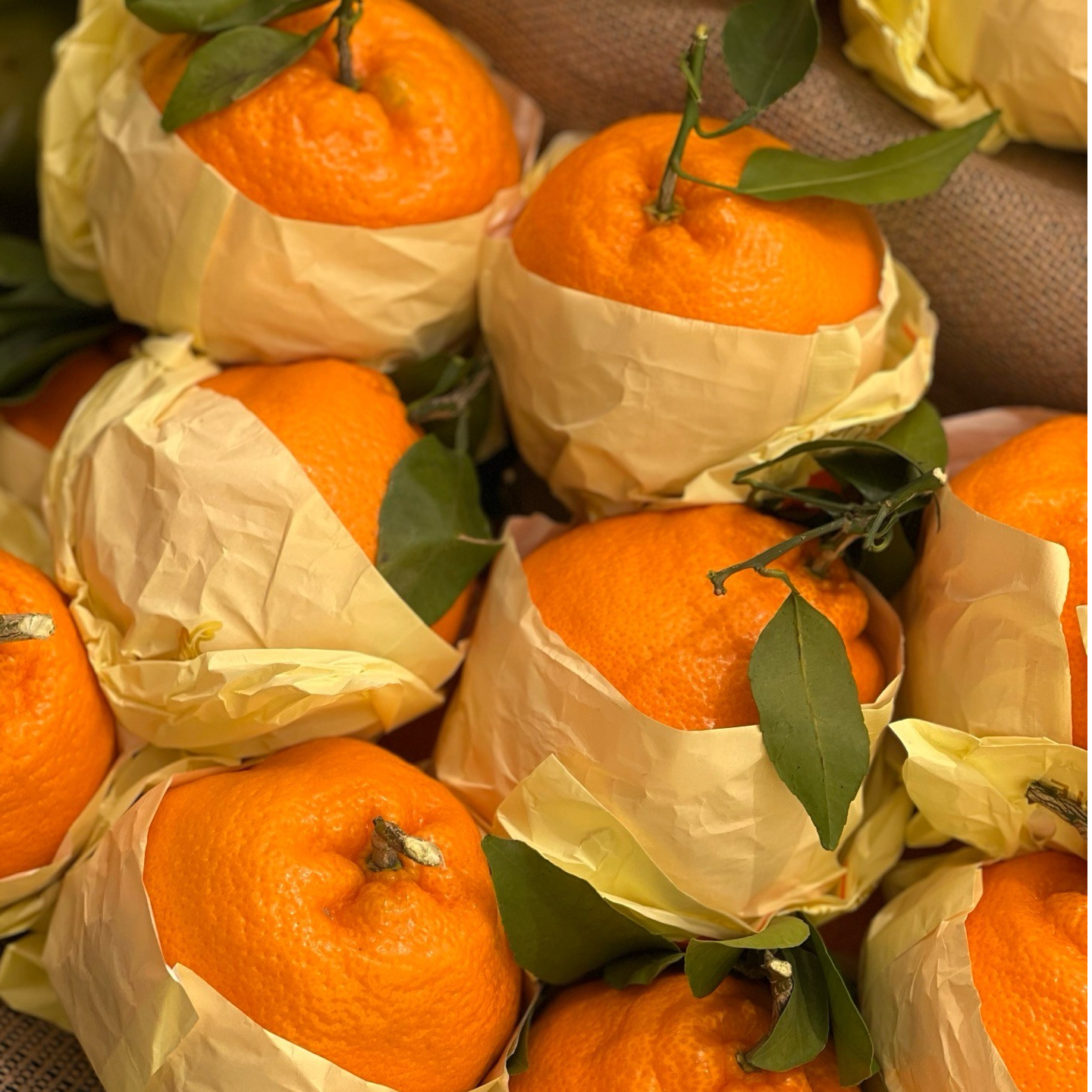 耙耙柑/500g云南省