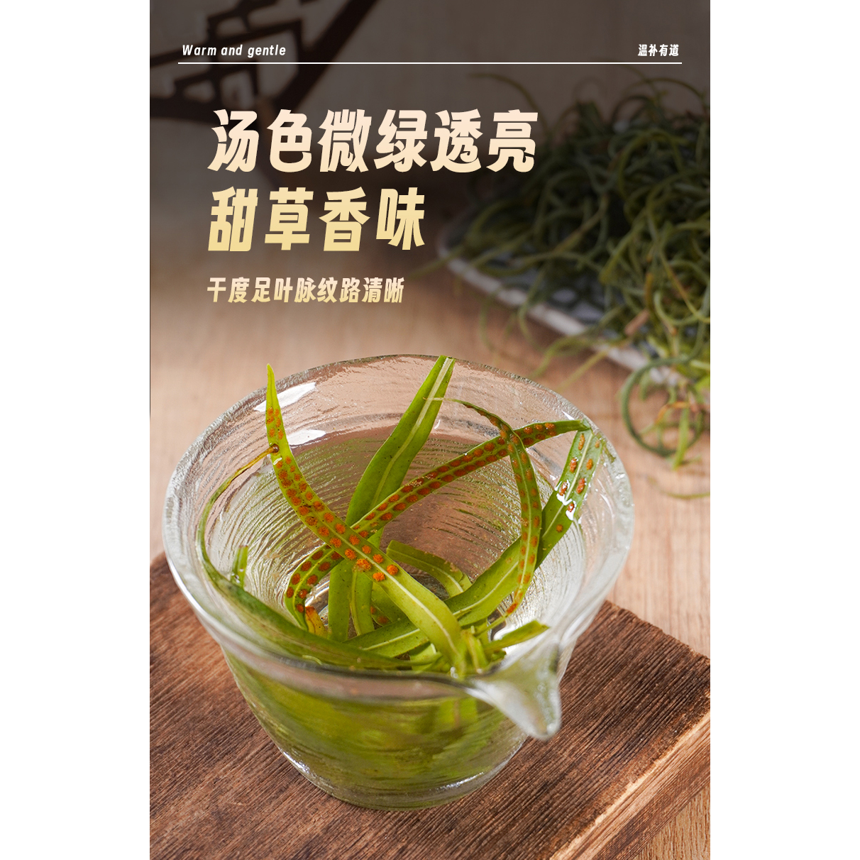 长白山黄金草  化石草 孢子丰富  富含维生素 矿物质