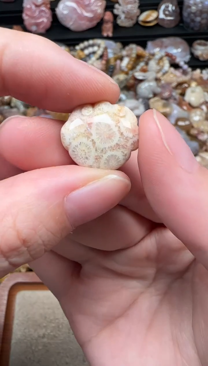 颈饰未镶嵌硅化珊瑚（珊瑚玉）506