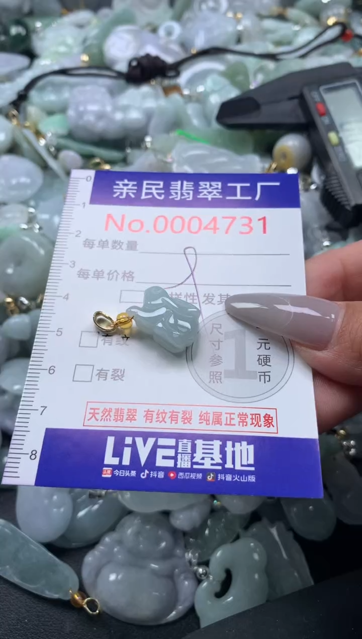 颈饰未镶嵌翡翠4731