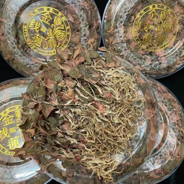 正宗福建红霞金线莲