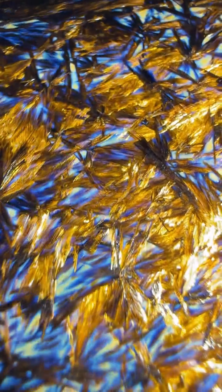 【闪购商品】茶盏徐亚凤31G工美大师