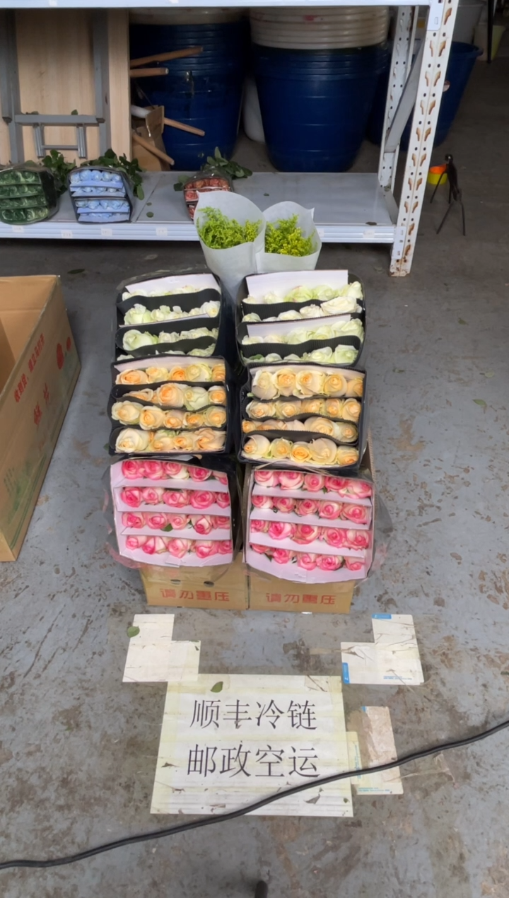 香槟20枝+艾沙20枝+白雪山20枝+黄莺2扎