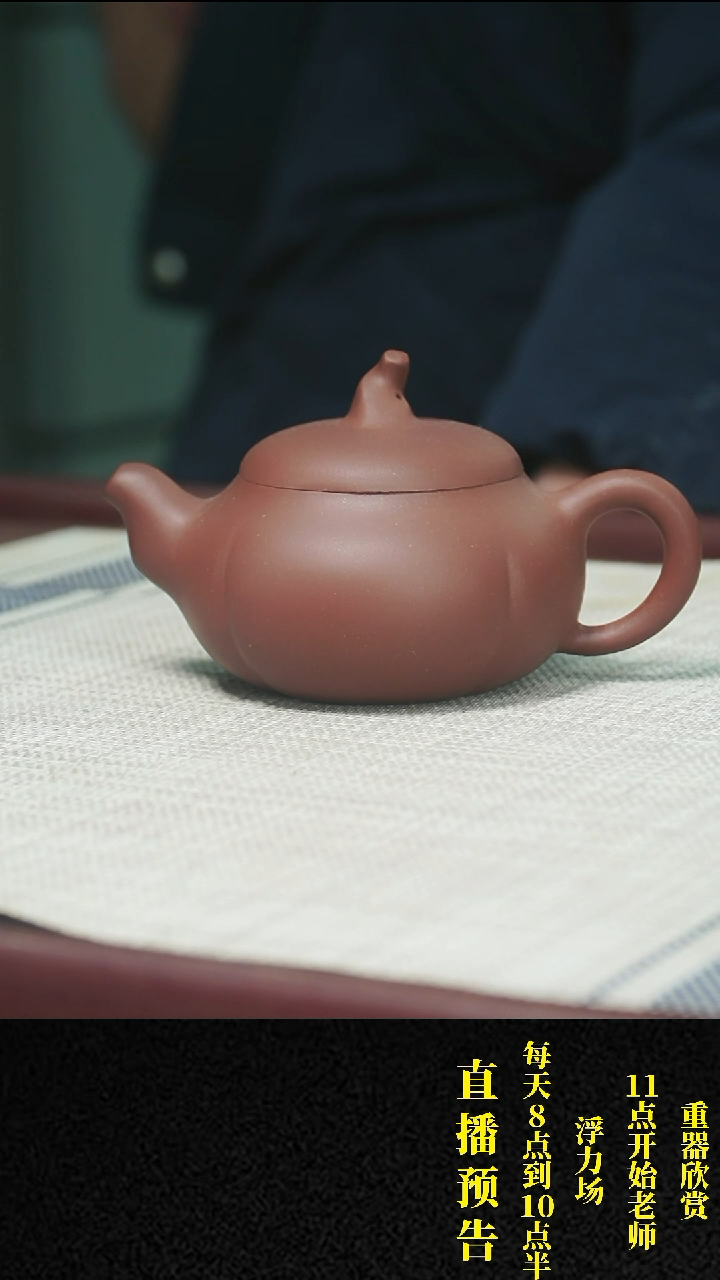 【闪购商品】紫砂茶壶紫砂 茶壶11