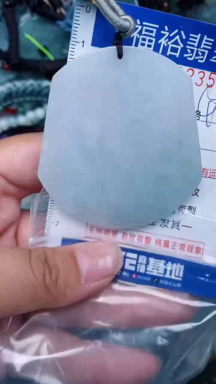 【闪购商品】翡翠颈饰未镶嵌...0002354