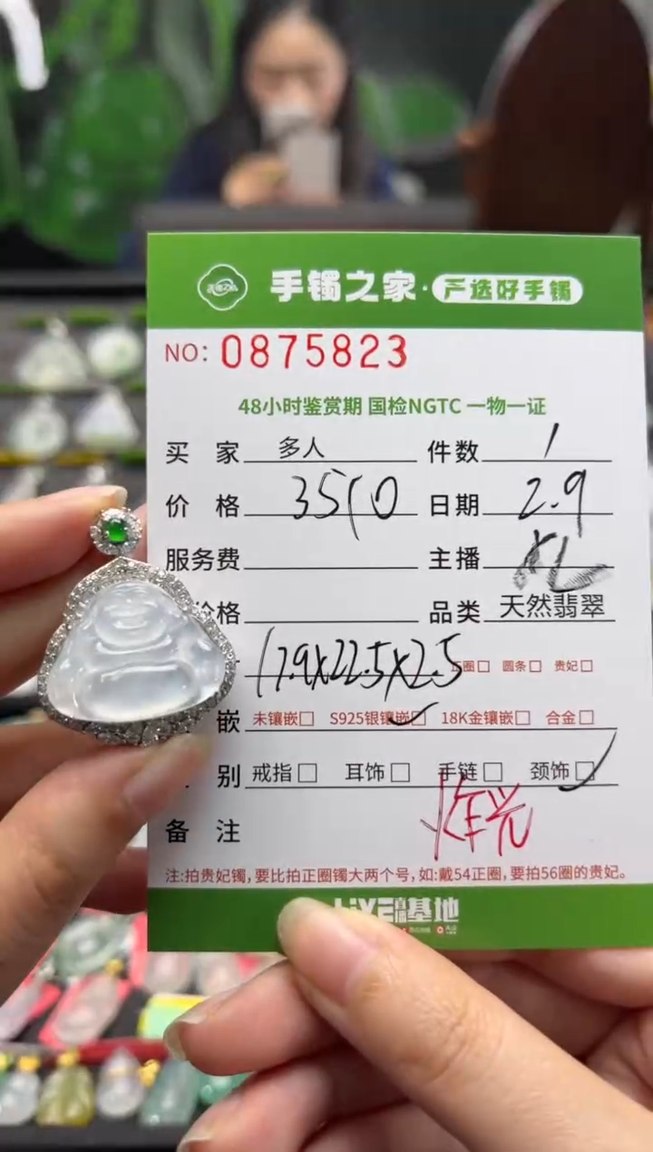 【闪购商品】翡翠颈饰银S925镶嵌多人