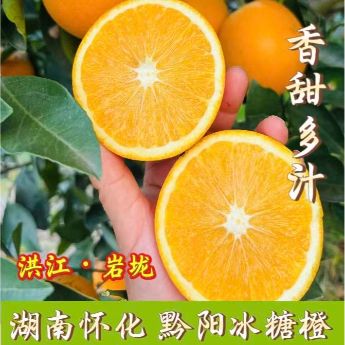 湖南怀化黔阳冰糖橙当季新鲜水果现摘手剥清甜多汁产地直发