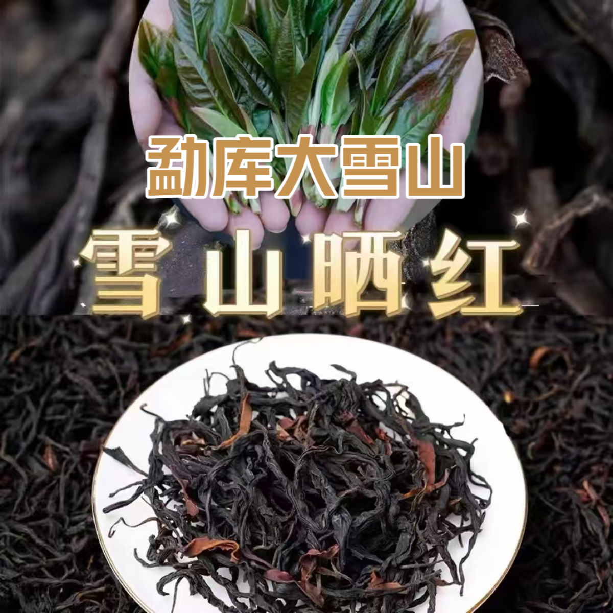 【2025年春大雪山野生古树红茶】云南古树野生红茶花果蜜香清甜口感