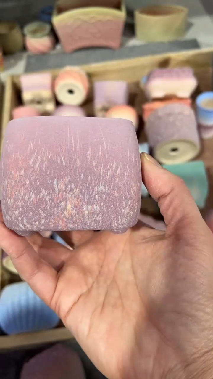 【闪购商品】陶内口 6   内高6