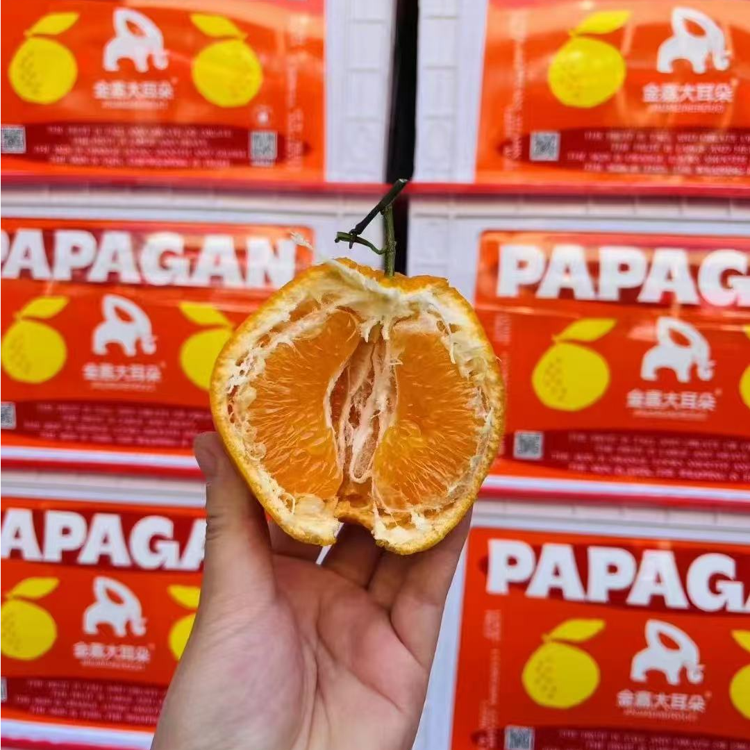 【大耳朵耙耙柑】 果香浓郁  汁水超多  嘎嘎甜 净重4.3斤