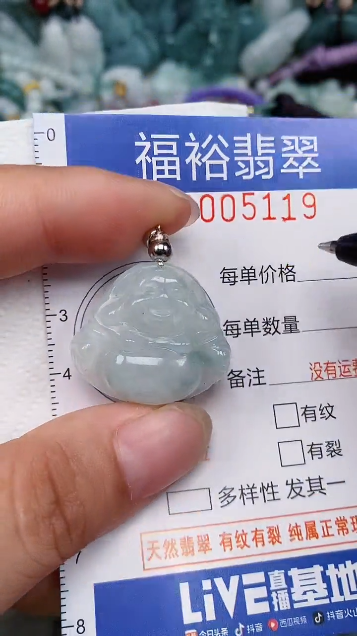 翡翠未镶嵌颈饰...0005119