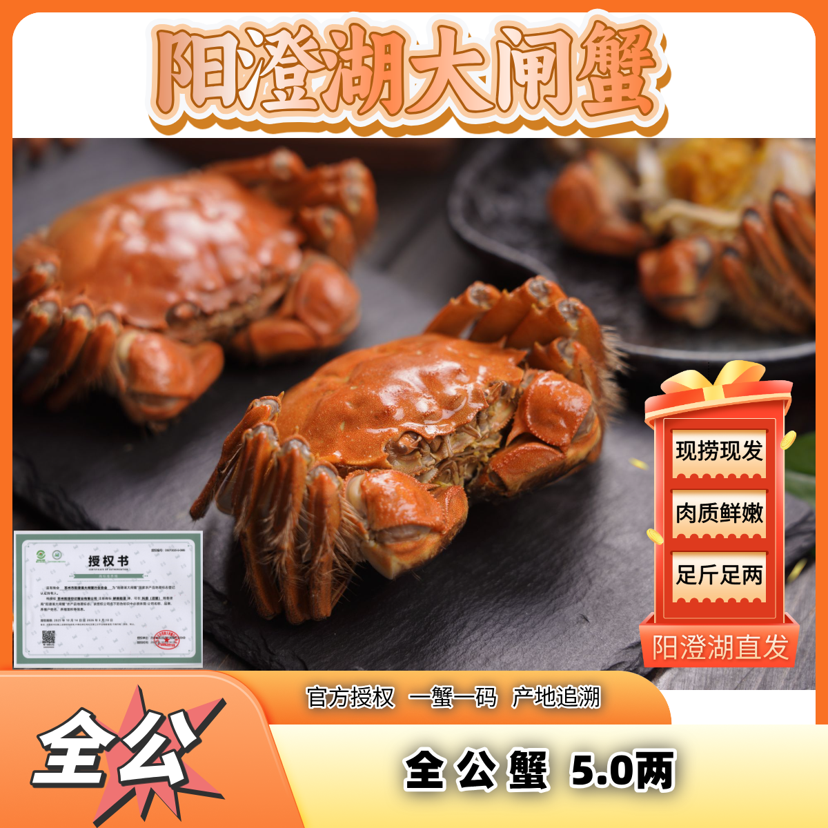 【活蟹】阳澄湖大闸蟹 全公蟹 5.0两 6/8/10只 塘养 礼盒装 
