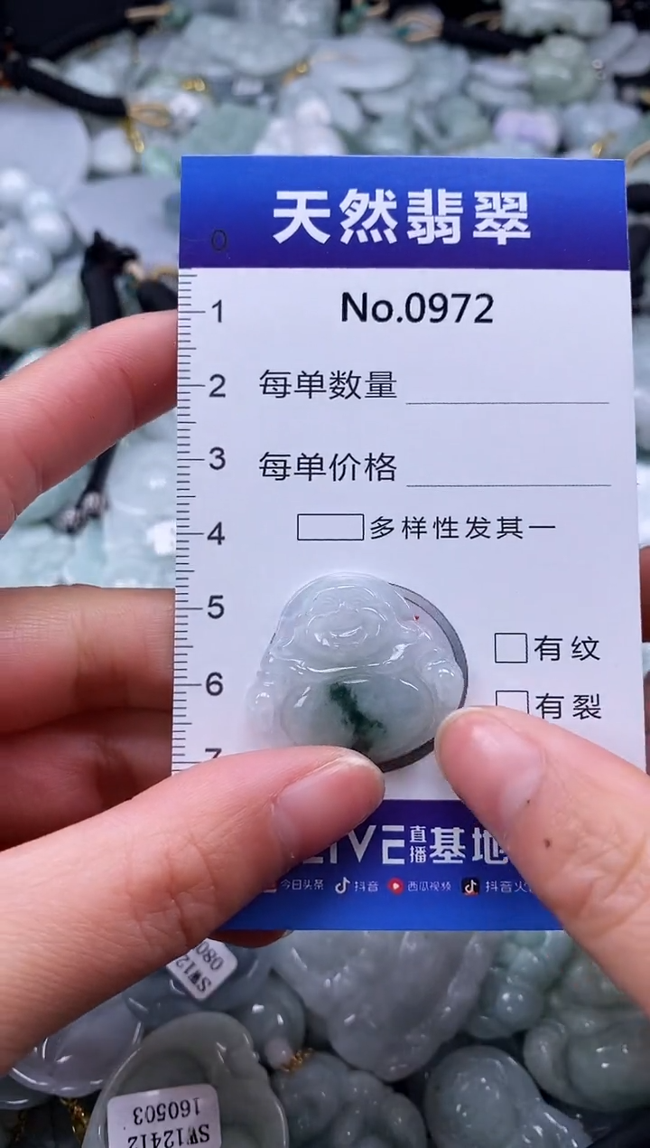 【闪购商品】翡翠颈饰未镶嵌缅甸A货翡翠0972