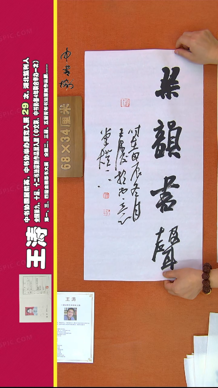 【闪购商品】书法433王涛书法作品