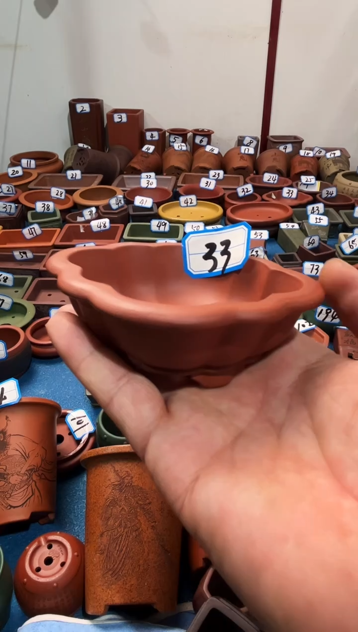 【闪购商品】紫砂紫砂花盆9.5*8.5*2.5