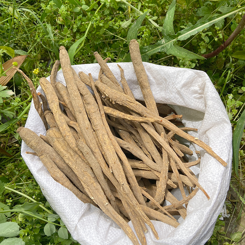 【当归】山货 土当归 藏当归 不苦 煮水 煮鸡蛋 炖鸡 适合送礼