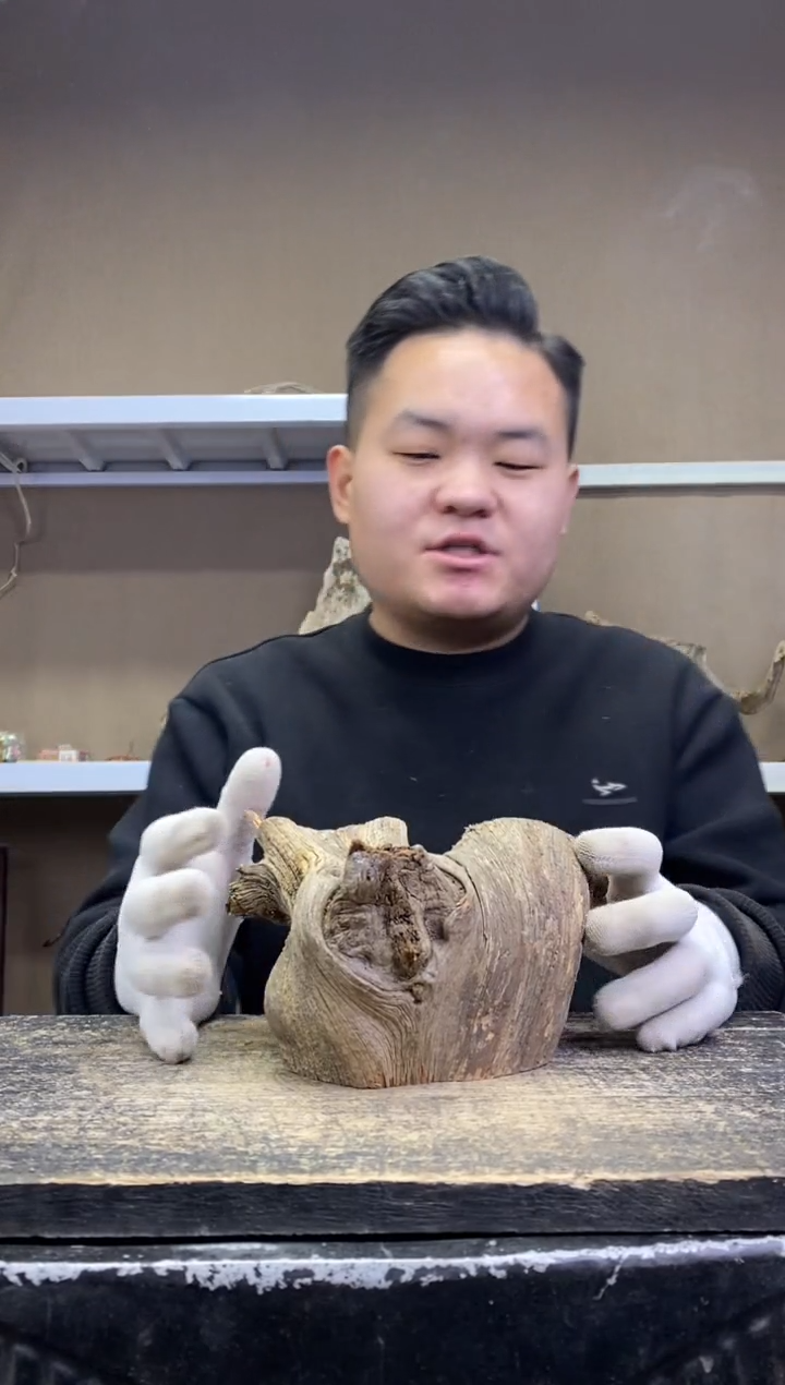 闲**鹤 20胖胖崖柏 闲云野鹤