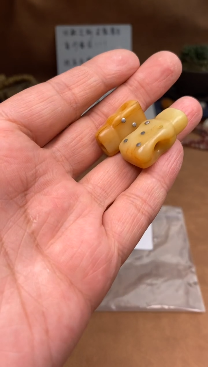 【闪购商品】牛骨其他P915-2个一起发