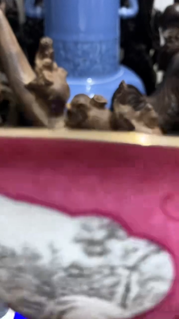 【闪购商品】摆件ftftyftyftuyftu