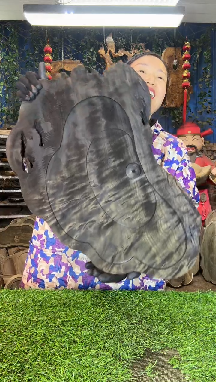 金丝楠S*I小叶桢楠60