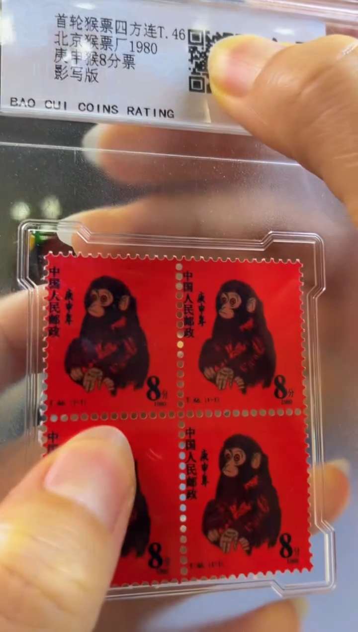 林氏直播精选推荐