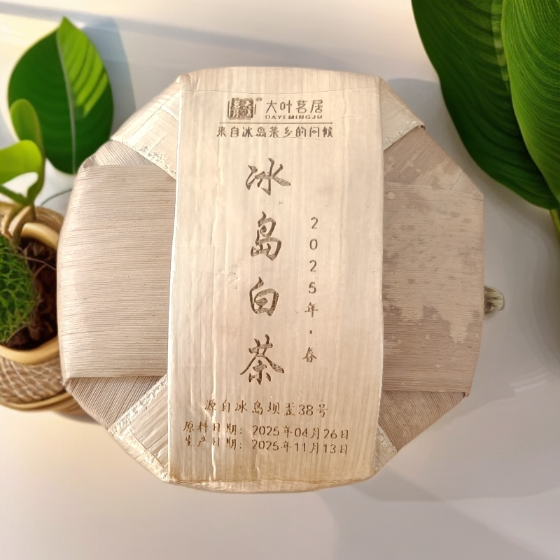 2025年冰岛坝歪38号春白茶 500克/提