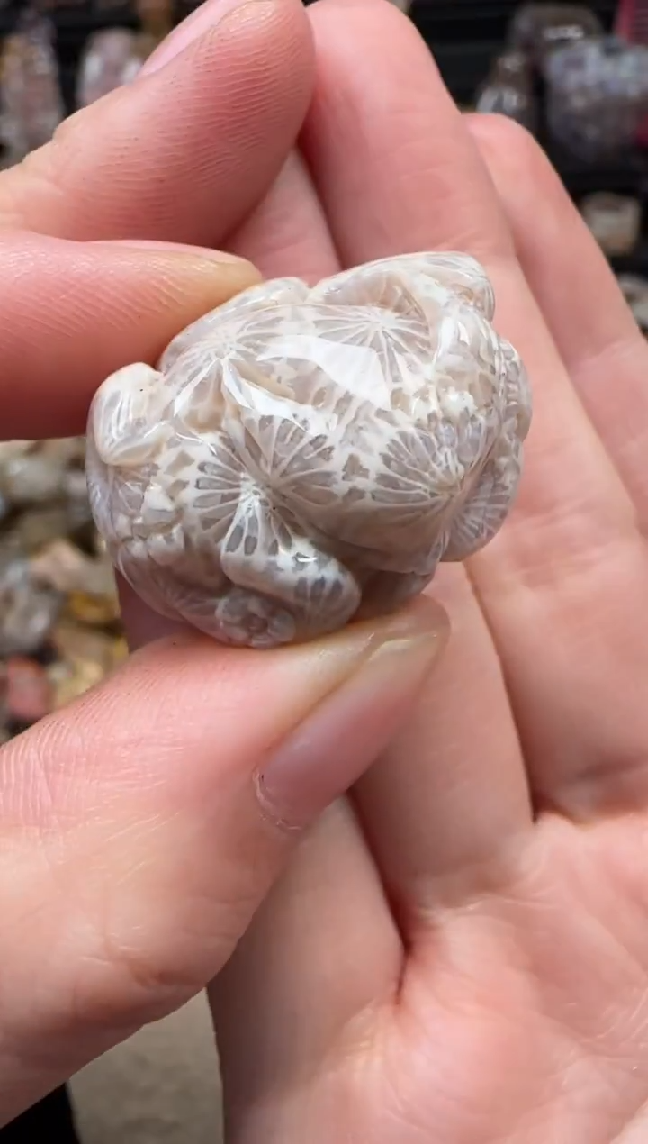 颈饰未镶嵌硅化珊瑚（珊瑚玉）195