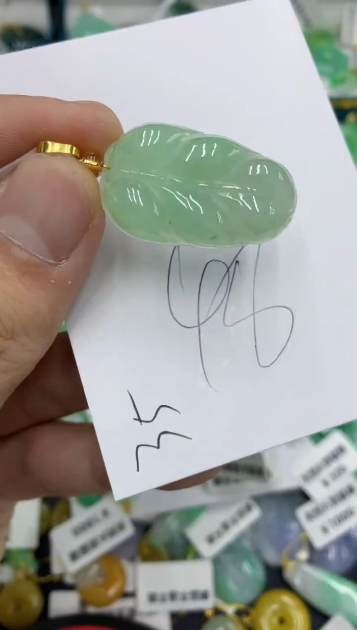 【闪购商品】翡翠颈饰未镶嵌翡翠