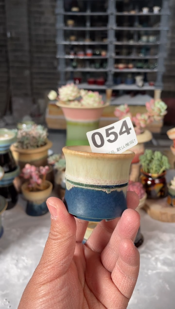 瓷片054小芳直播编号