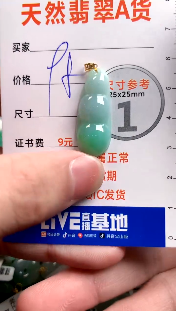 【闪购商品】翡翠颈饰18K金镶嵌14002721