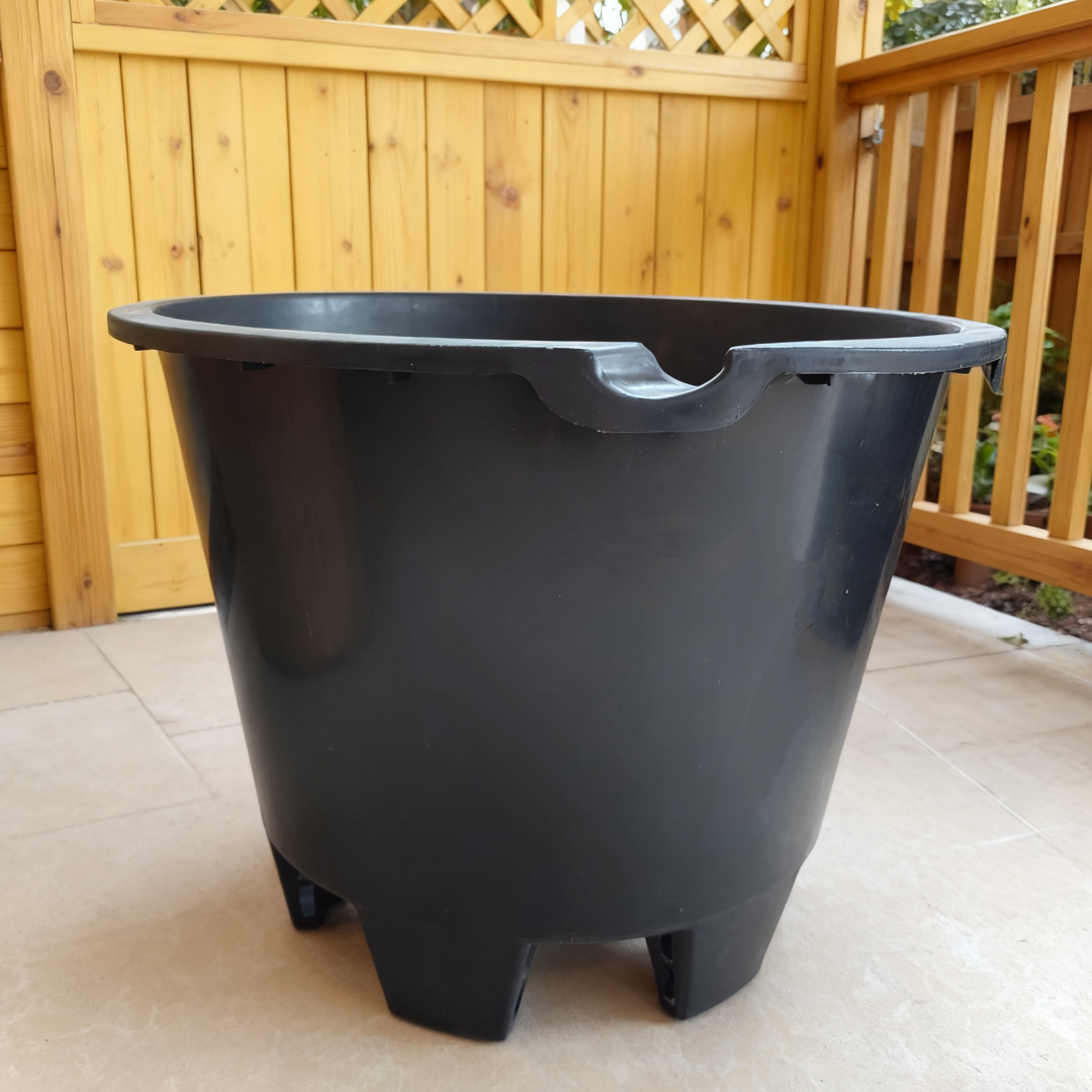 黑色蓝莓盘41*33 大口径花盆 特耐晒 透水透气花园植物神器