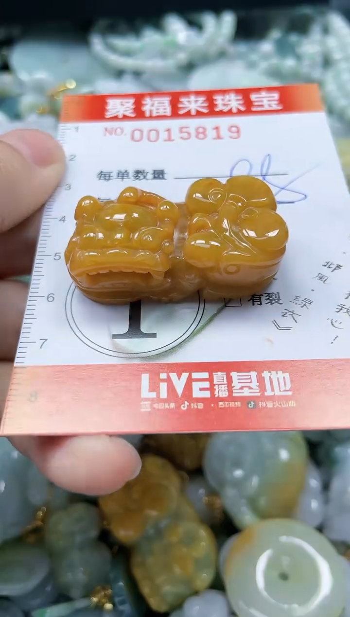 【闪购商品】翡翠颈饰未镶嵌闪购0015819