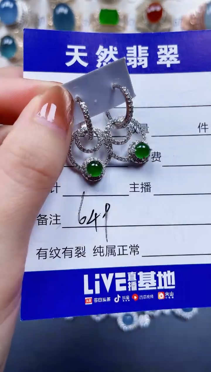 银S925镶嵌翡翠耳饰649
